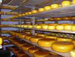 zelfgemaakte kaas